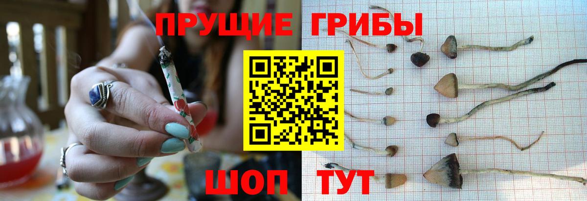 Ухта  Псилоцибиновые грибы Cubensis  Вход с VPN  как найти закладки  Галлюциногенные грибы Psilocybe 